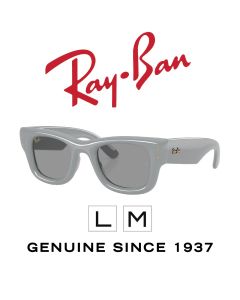 Oryginalne okulary przeciwsłoneczne > Ray-Ban 4940 · Puffer 6876/1